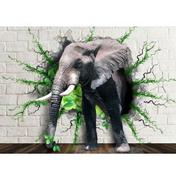 Fototapet Copii cu Elefant 3D